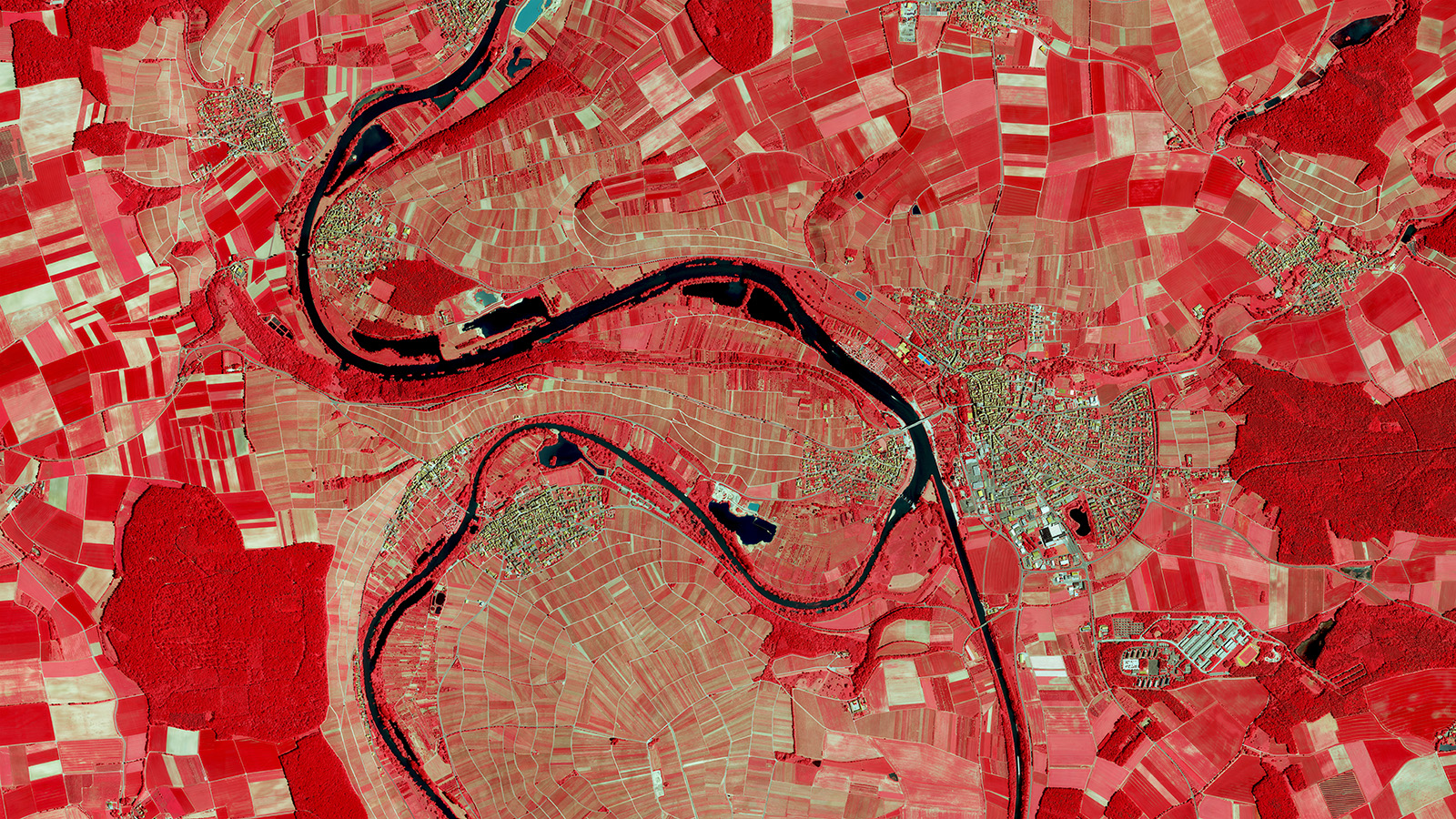 Das CIR-Luftbild zeigt die Vegetation in roter Farbe, das Gewässer ist türkis dargestellt.